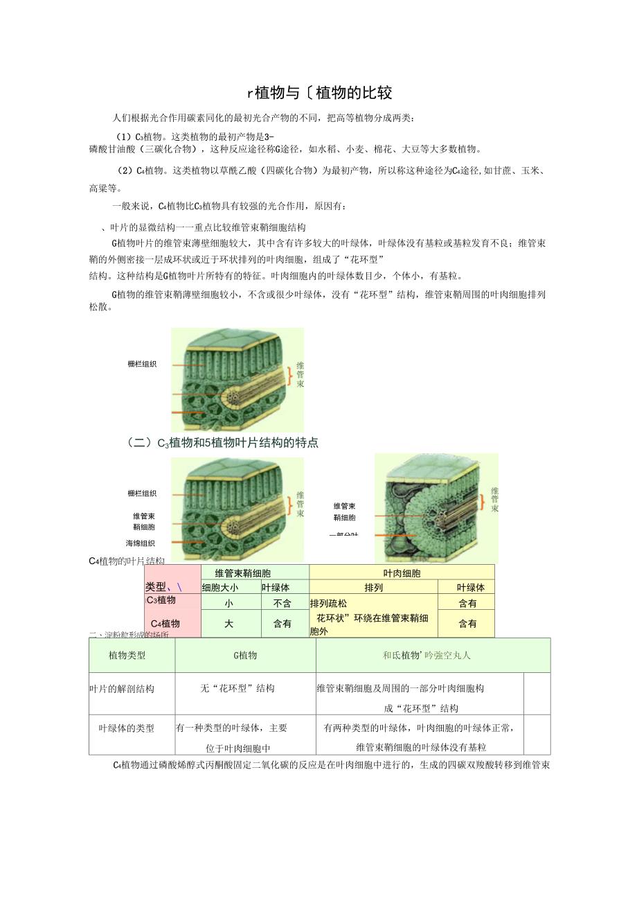 C4植物与C3植物的比较_第1页