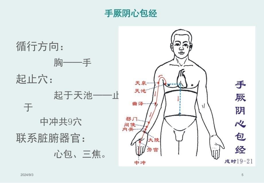 中医经络之3手厥阴心包经_第5页