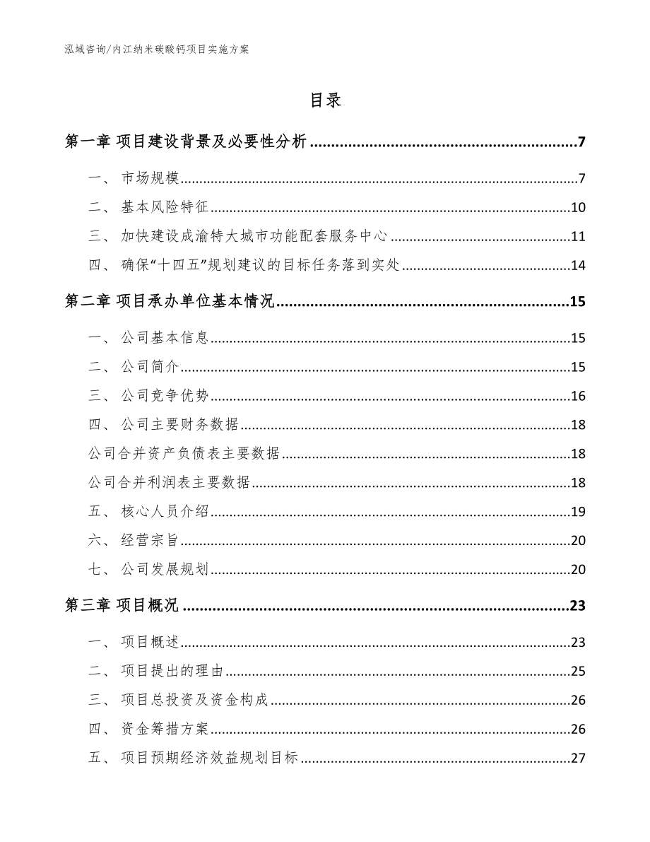 内江纳米碳酸钙项目实施方案（参考模板）_第1页