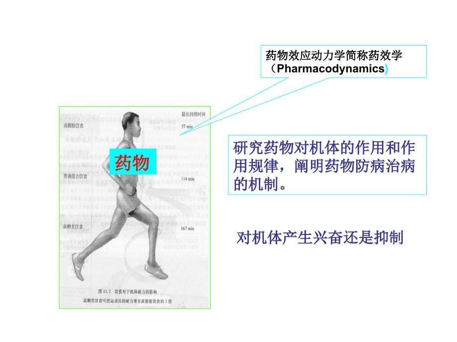 《药学基础知识概述》PPT课件_第5页