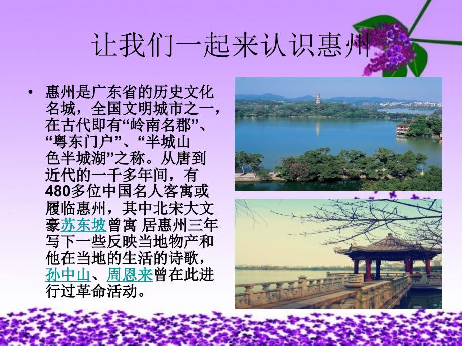 惠州旅游攻略_第2页