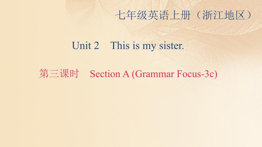 最新英语上册Unit2Thisismysister第3课时SectionAGrammarFocus3c课件_第1页