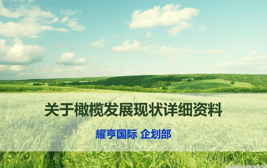 关于橄榄发展现状详细资料_第1页