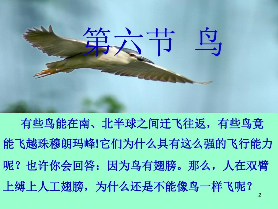 《鸟》教学课件1_第2页