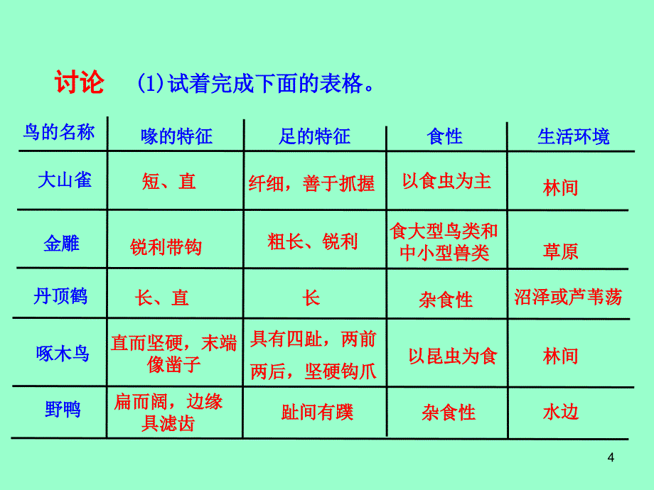 《鸟》教学课件1_第4页