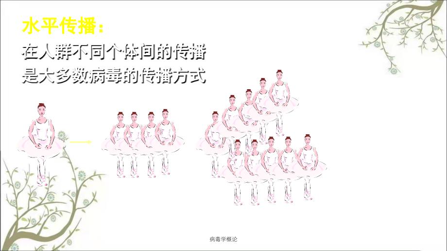 病毒学概论课件_第4页