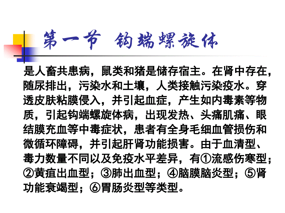 第十七章螺旋体课件_第1页