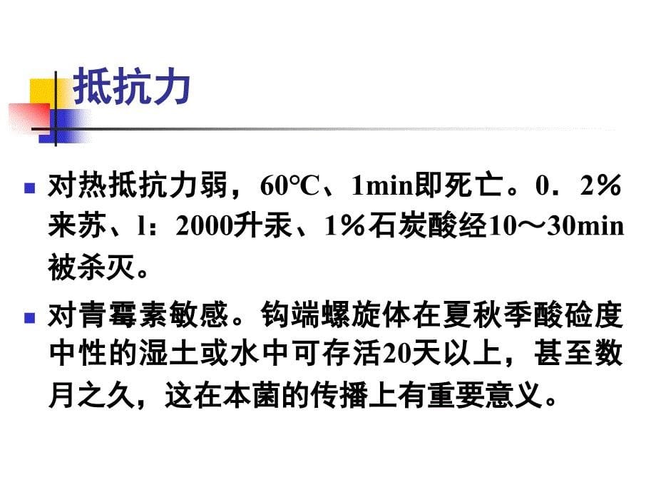 第十七章螺旋体课件_第5页