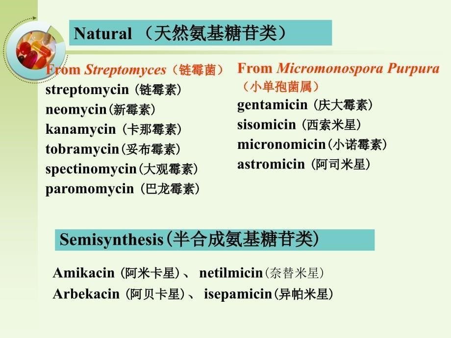 药理学课件：第44章 氨基糖苷类抗生素_第5页