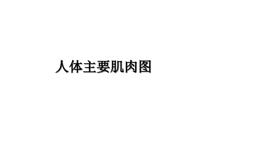 人体主要肌肉图资料讲解_第1页