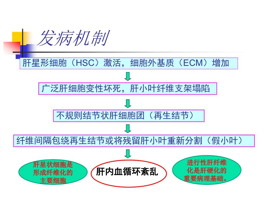 肝硬化的临床表现_第4页