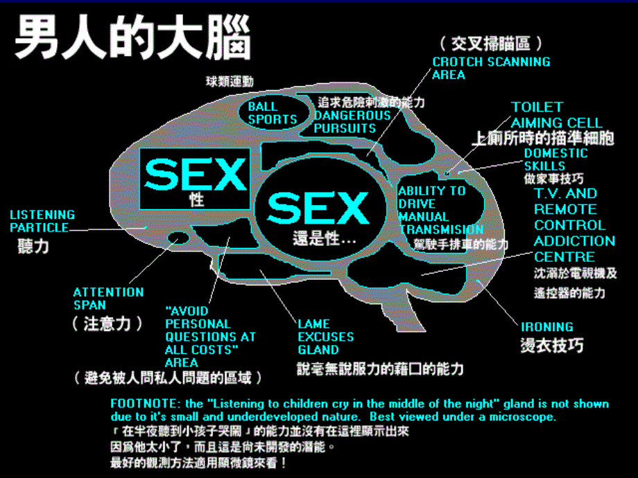 《性别角色社会化》PPT课件.ppt_第2页