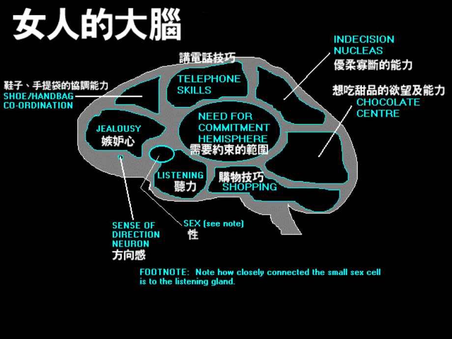 《性别角色社会化》PPT课件.ppt_第3页