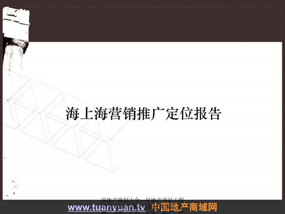 房地产市场研究报告 上海市营销推广定位报告_第1页