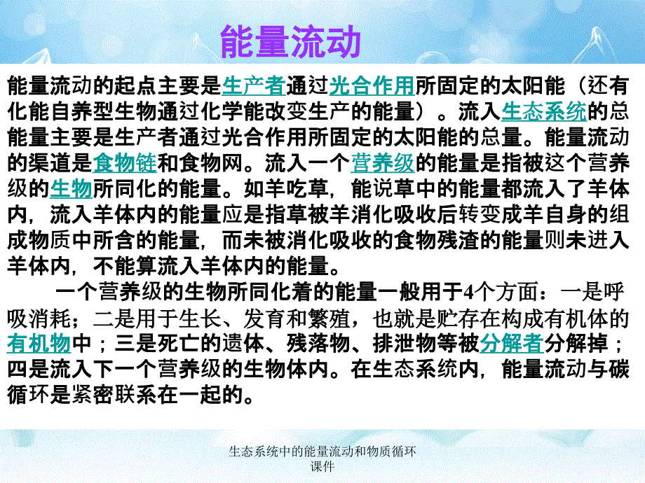 生态系统中的能量流动和物质循环课件_第2页