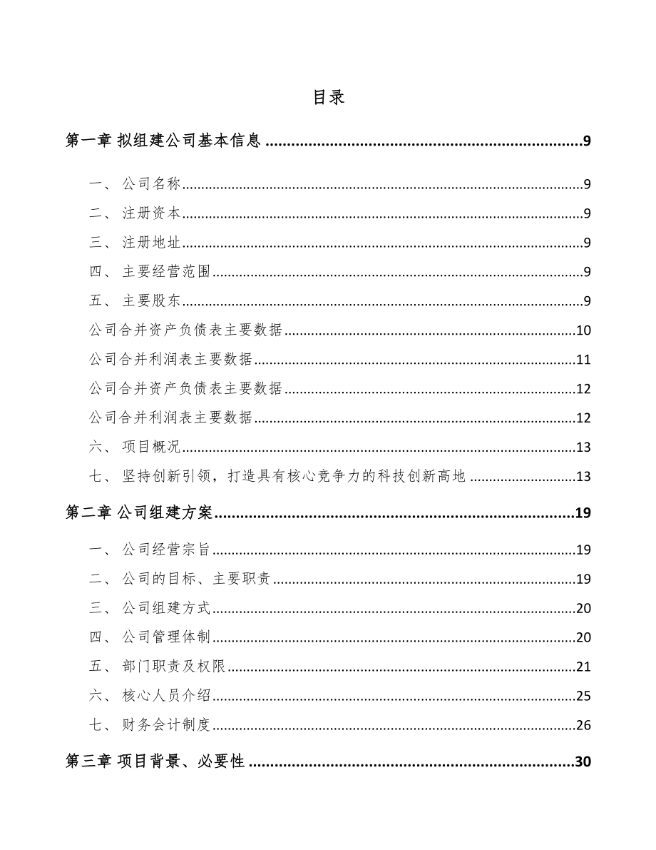 关于成立5G公司可行性报告-(4)_第4页