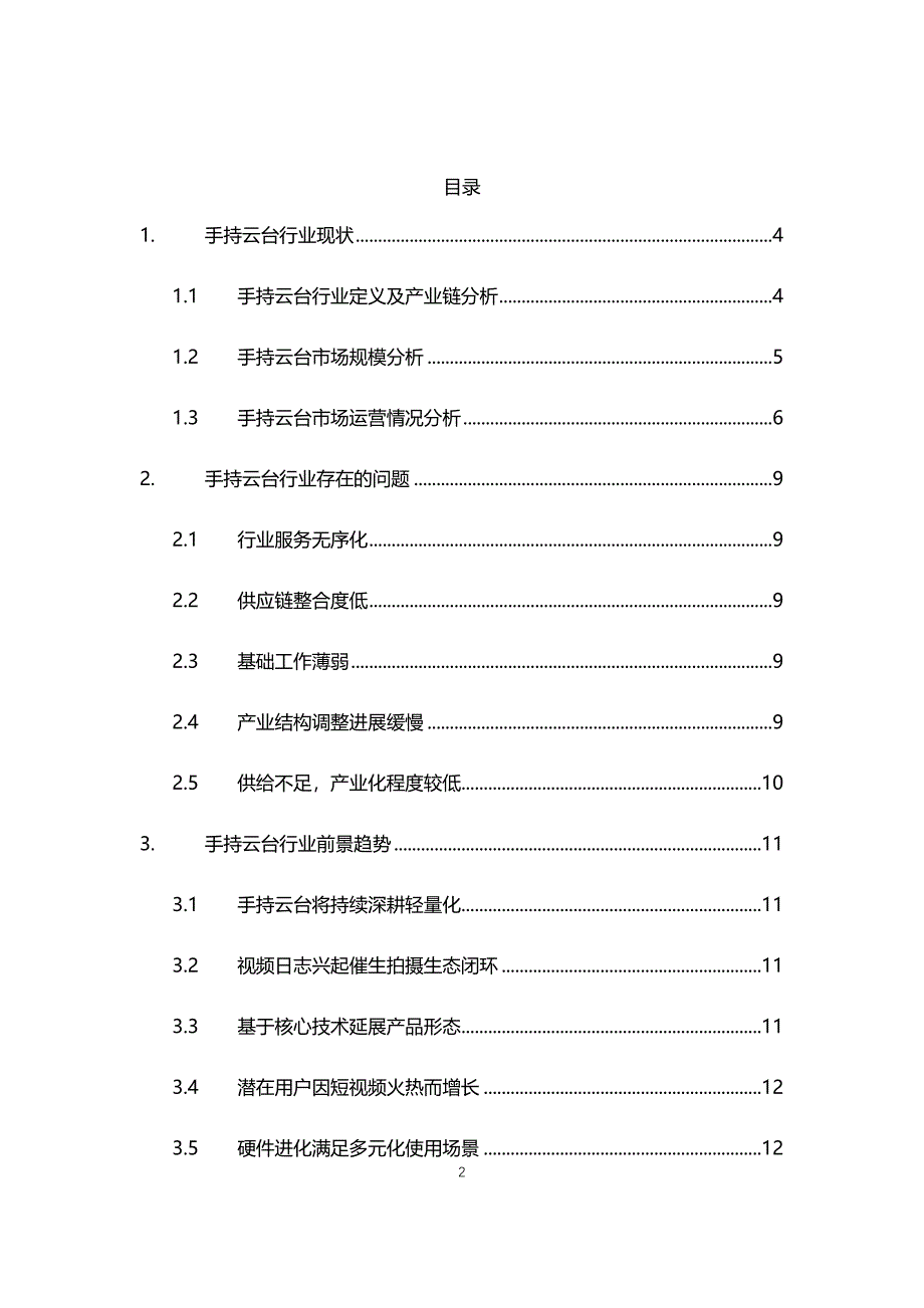 2020年手持云台行业现状与前景趋势报告_第2页