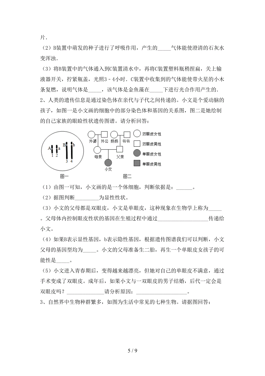 人教版九年级上册《生物》期末试卷(最新).doc_第5页