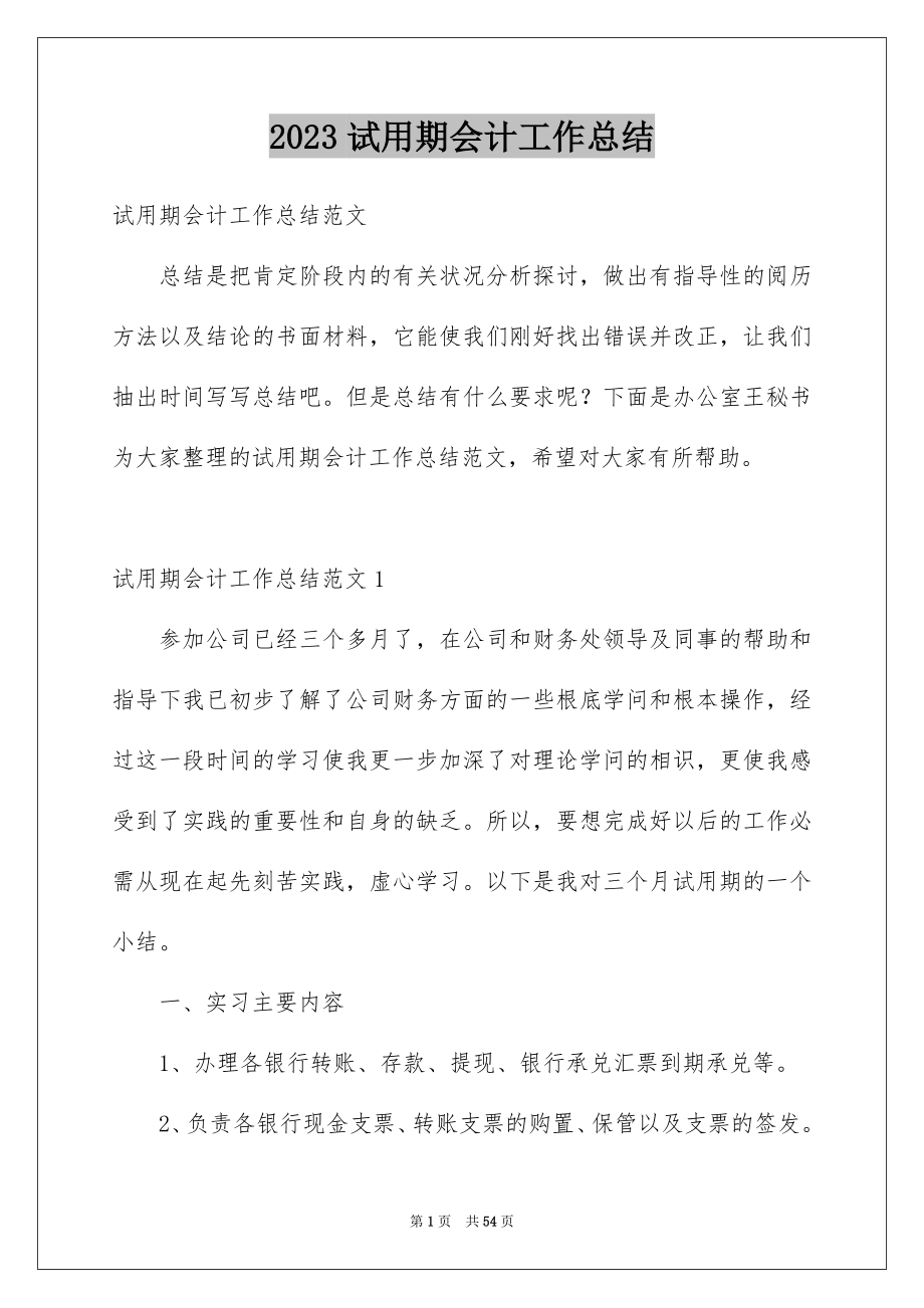 2023年试用期会计工作总结2范文.docx_第1页