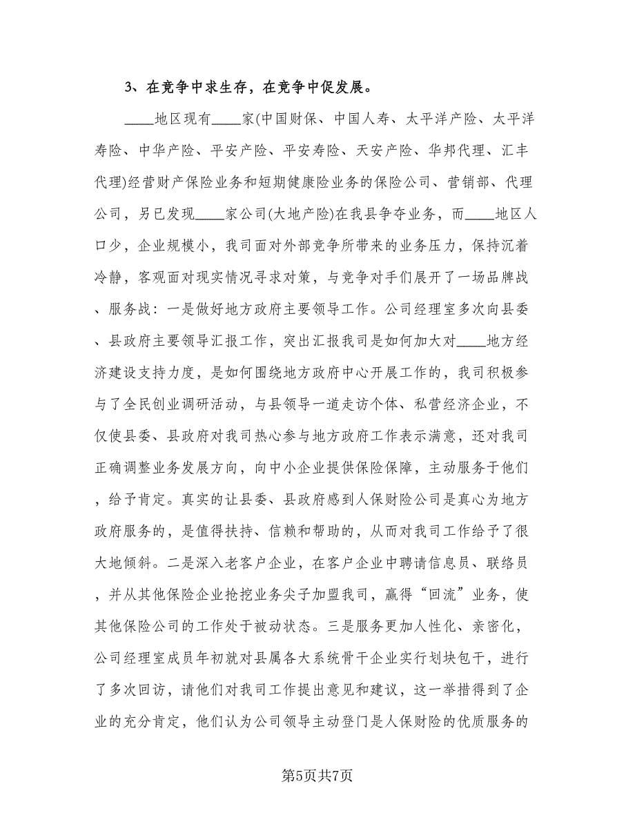 保险公司年终个人总结例文（二篇）.doc_第5页