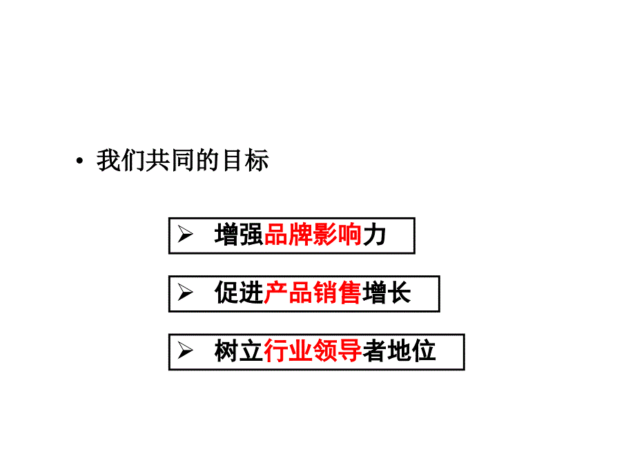 神州数码管理系统有限公司整合营销传播策略方案_第2页