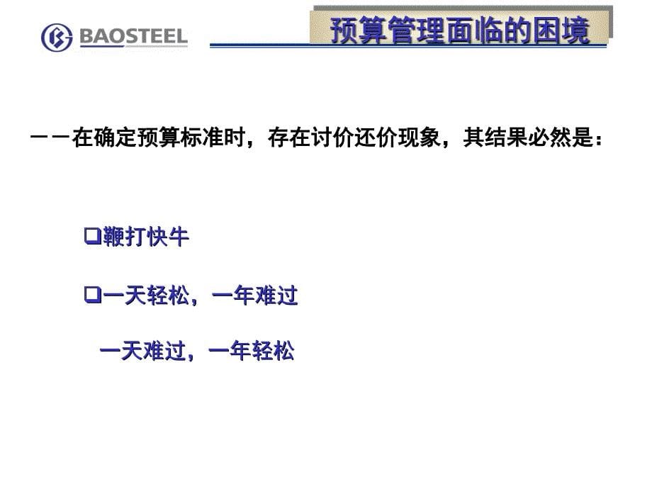 宝钢预算管理实践_第5页