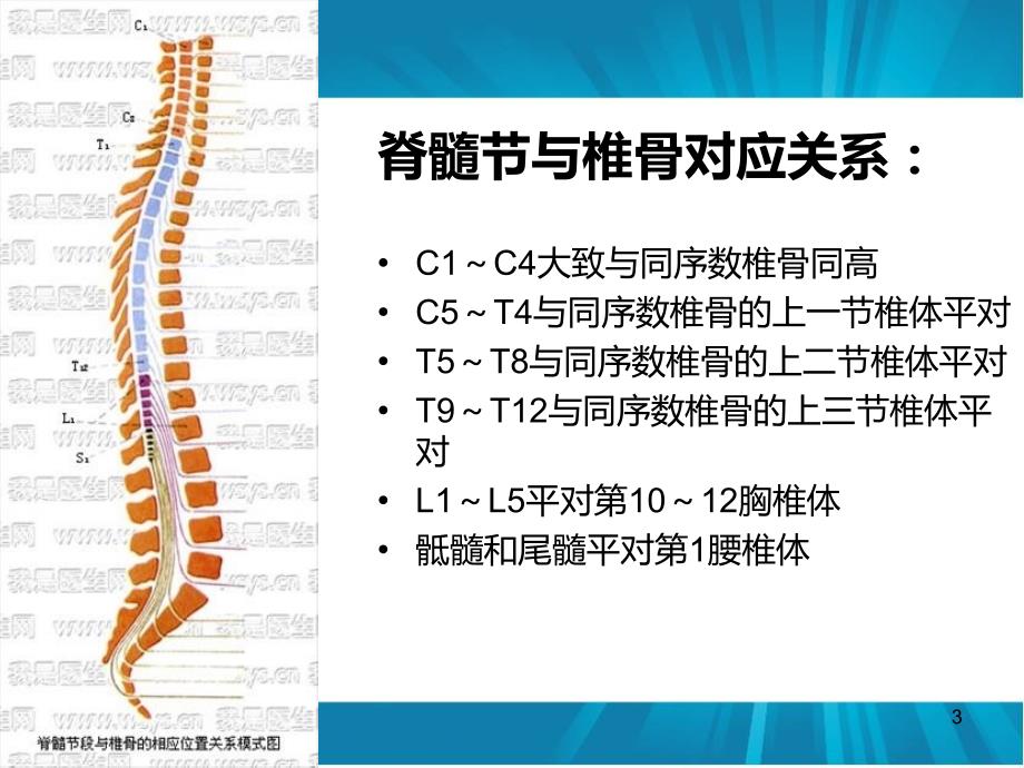 （优质课件）脊髓损伤的康复评定_第3页