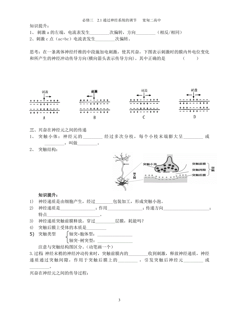 通过神经系统的调节学案_第3页