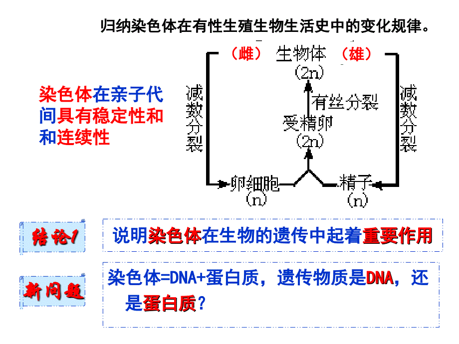 人教版生物必修二课件：31DNA是主要的遗传物质（共36张PPT）_第3页