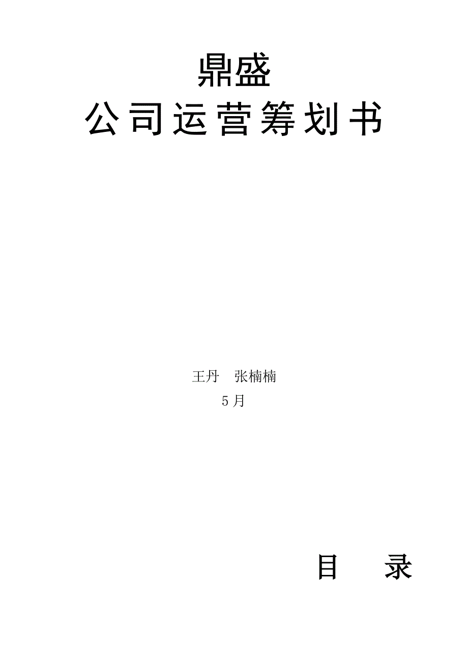 鼎盛公司计划书_第1页