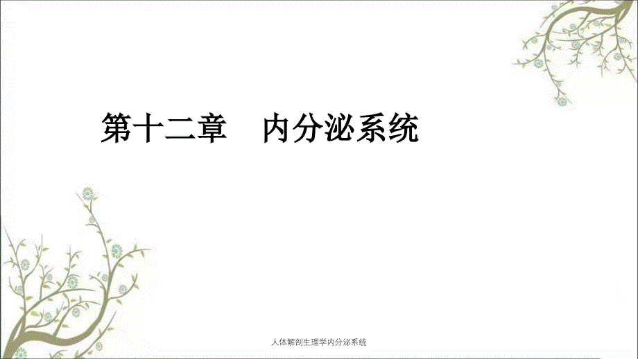 人体解剖生理学内分泌系统_第1页