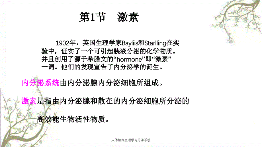 人体解剖生理学内分泌系统_第3页