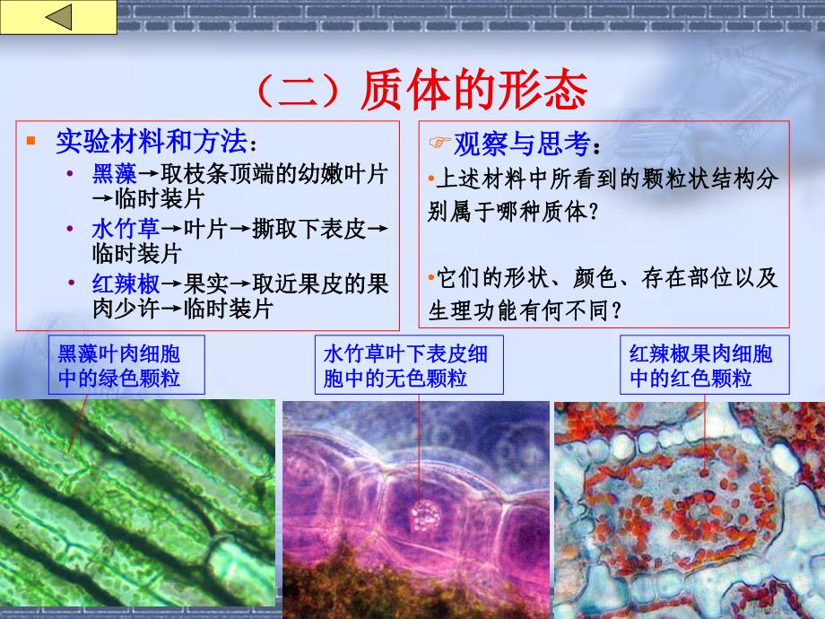 实验1(细胞的基本)_第4页