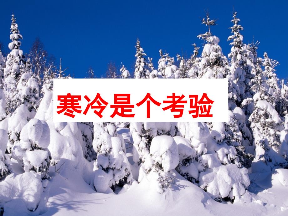 部编版一年级上册道德与法治《14健康过冬天》课件_第3页