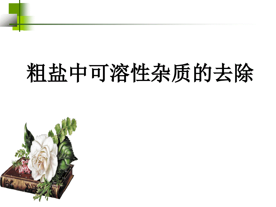 粗盐的可溶性杂质的去除_第1页