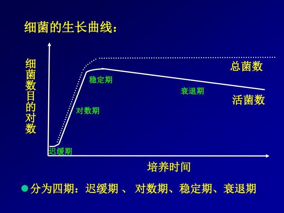 2细菌生长繁殖护理_第4页