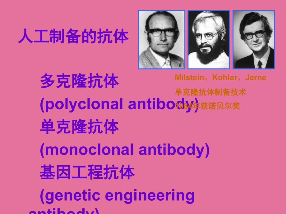 第二军医大学免疫教程二基因工程Igppt课件_第4页