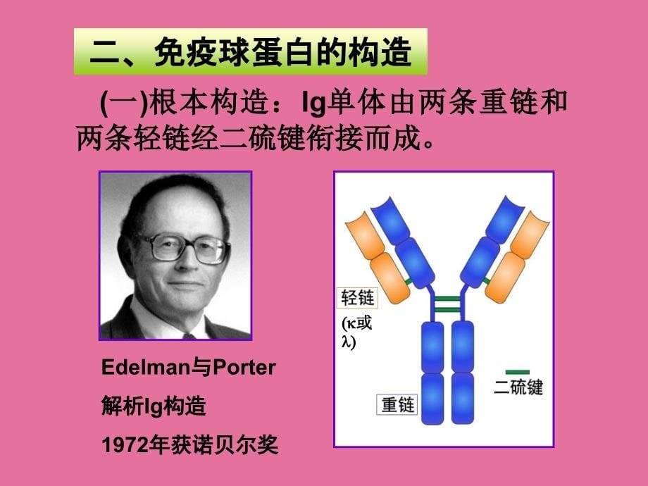 第二军医大学免疫教程二基因工程Igppt课件_第5页