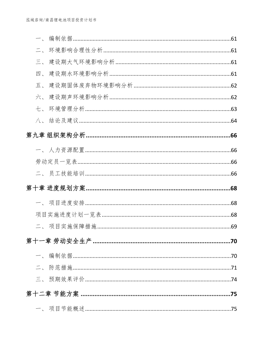 南昌锂电池项目投资计划书【模板范本】_第4页