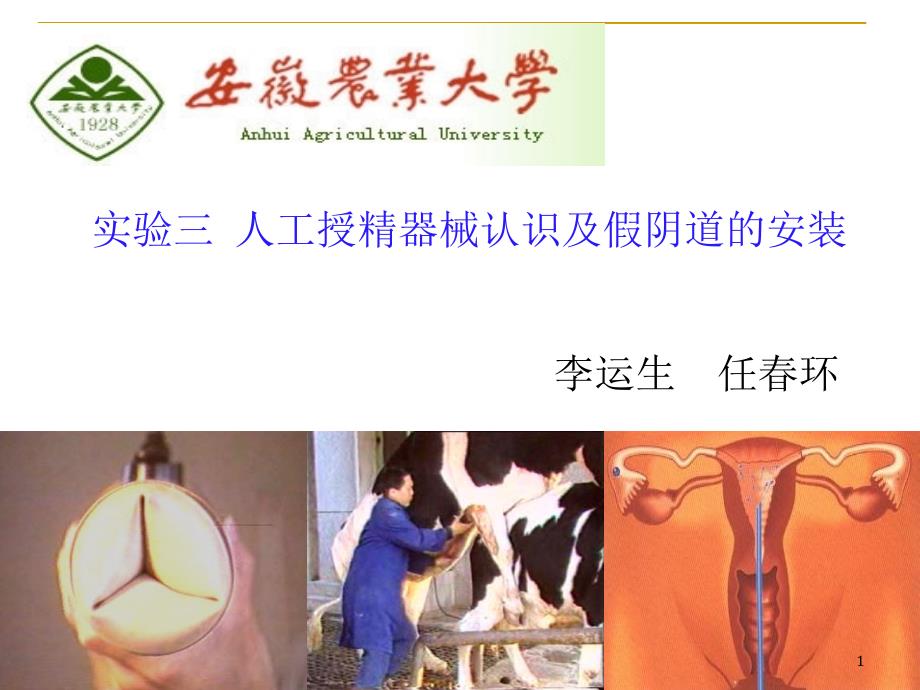 人工授精器械认识及假阴道的安装_第1页
