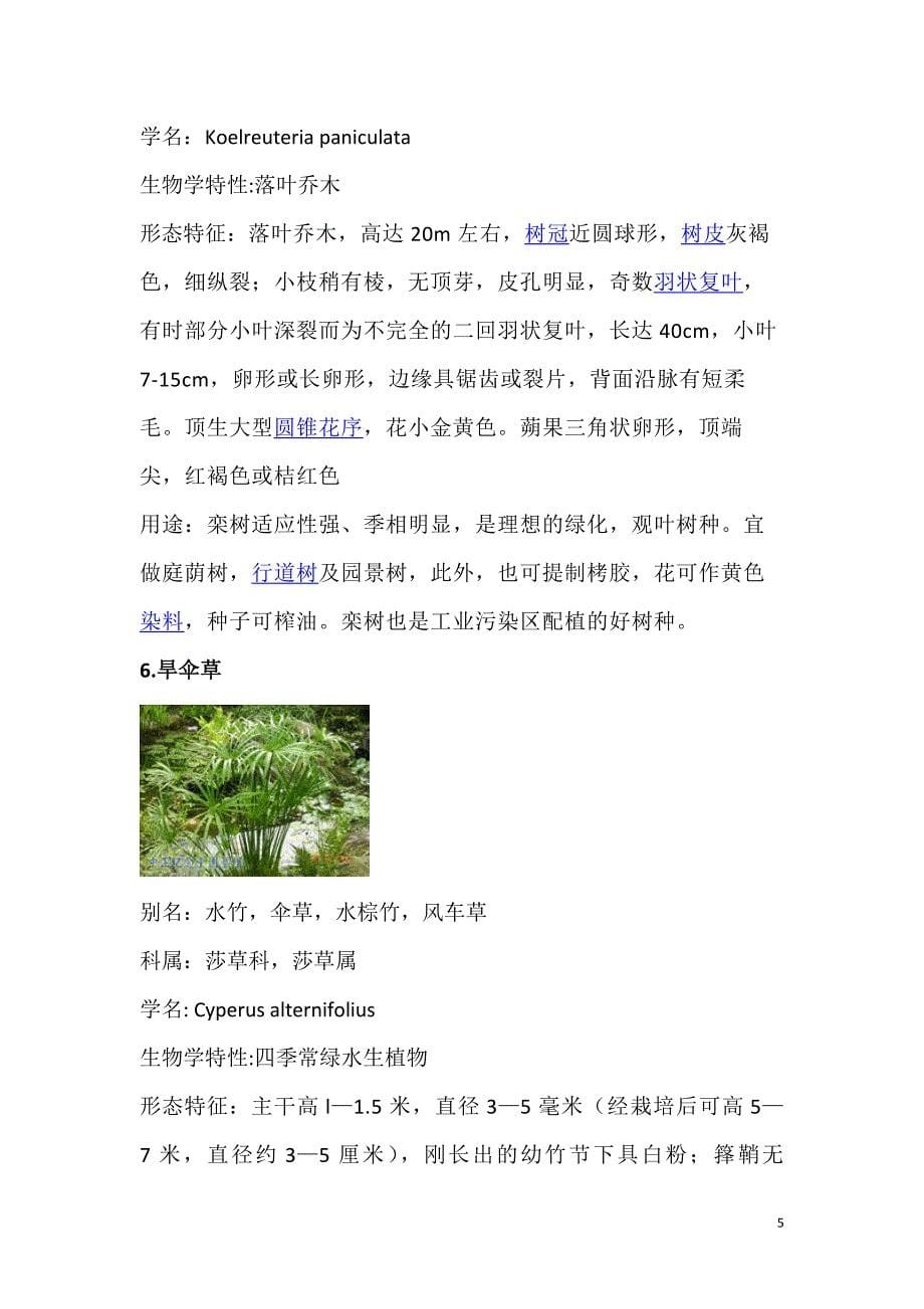 常见园艺植物识别_第5页