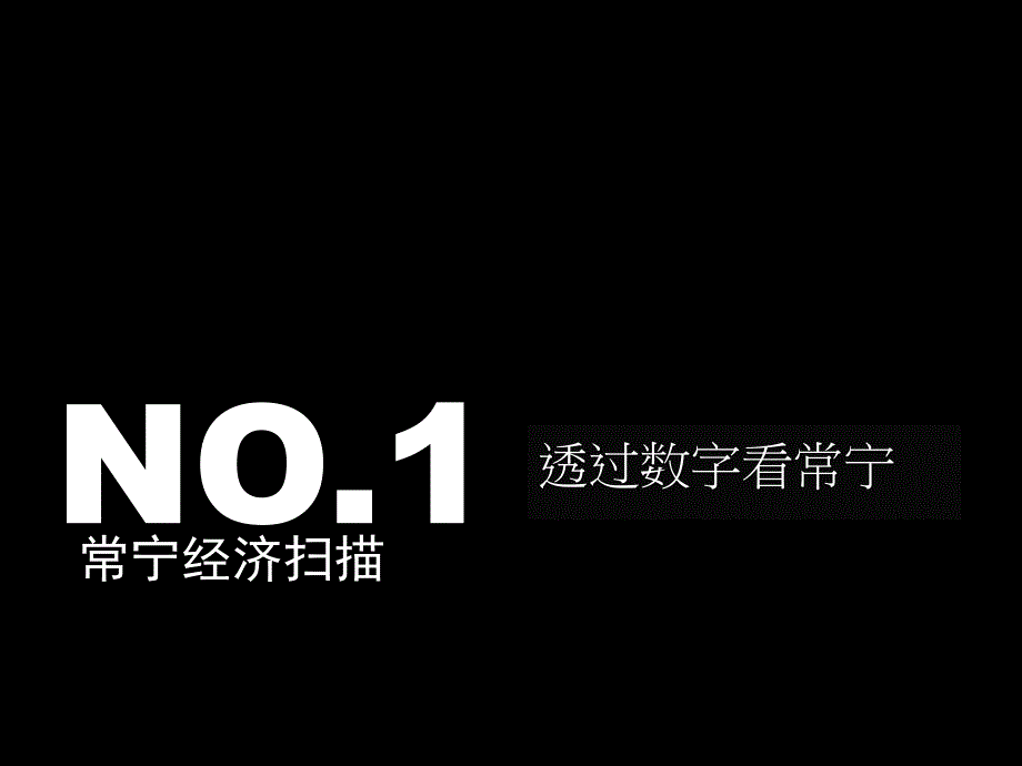 湖南常宁金域豪庭项目制胜之道88P_第4页