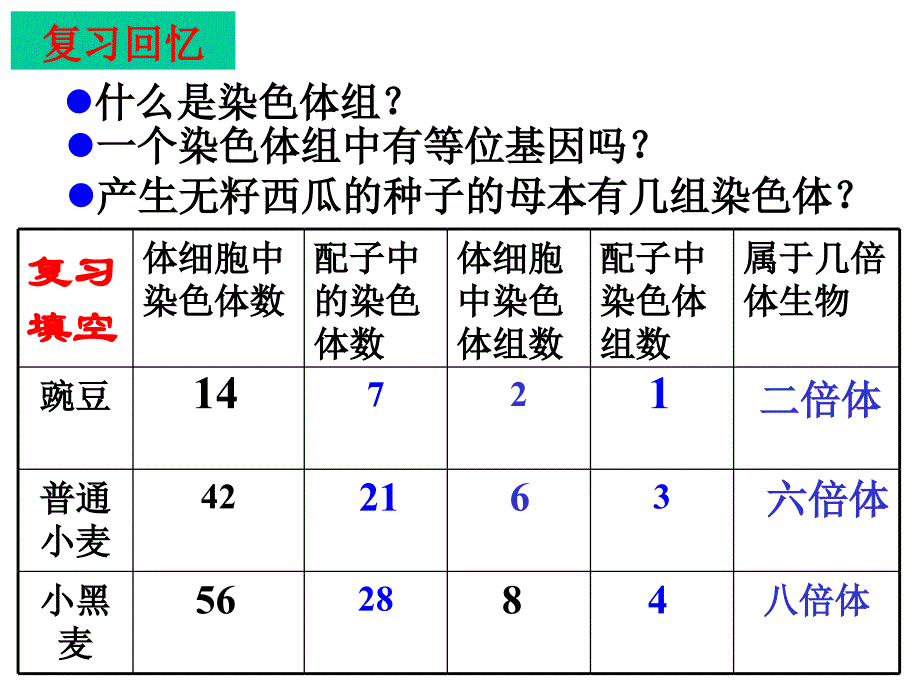 61单倍体及生物育种技术_第4页