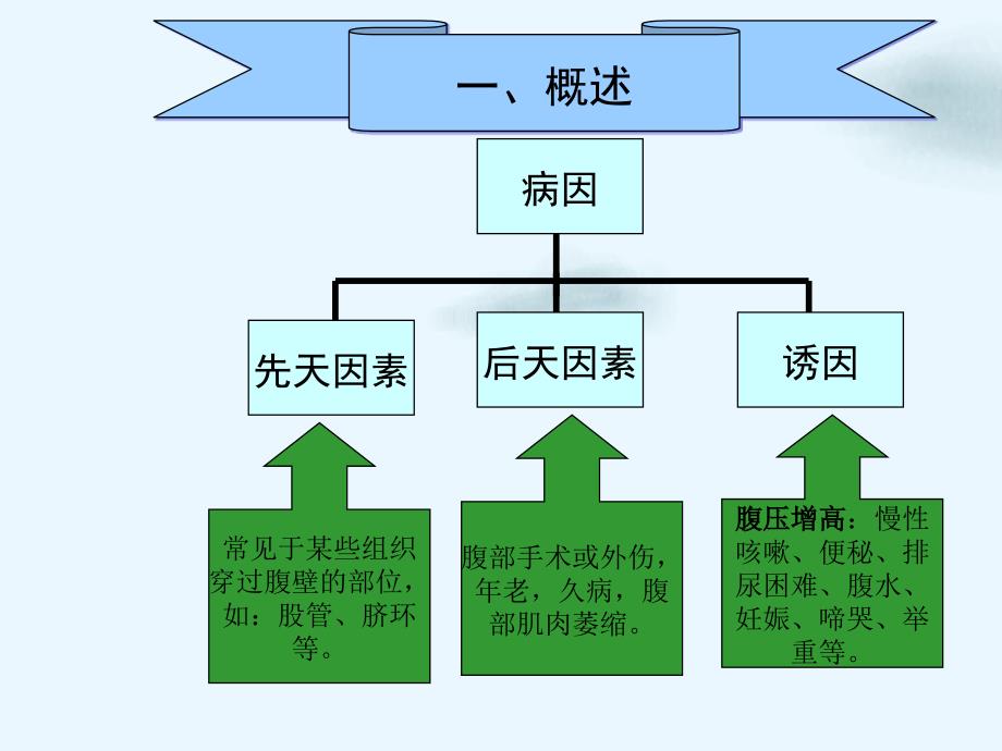 腹股沟斜疝护理查房课件_第4页