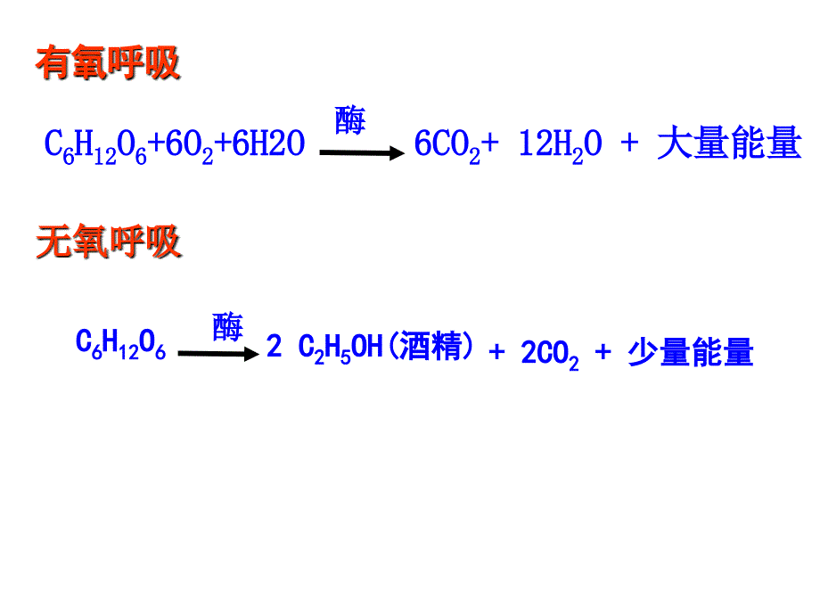 细胞呼吸原理的应用1111_第4页