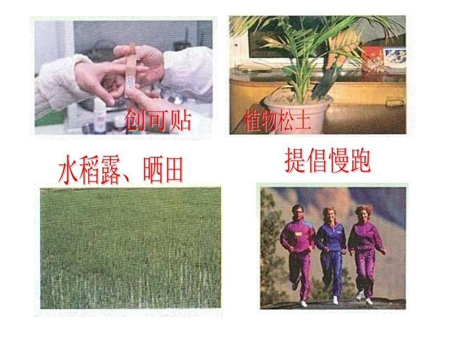 细胞呼吸原理的应用1111_第5页