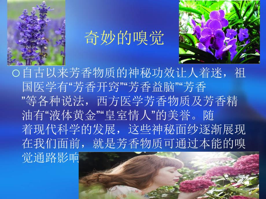 嗅觉系统和嗅觉通路.ppt_第2页