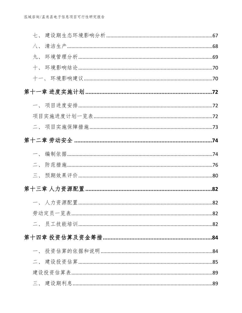 孟连县电子信息项目可行性研究报告_第5页