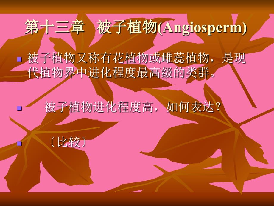 第十三章被子植物ppt课件_第1页