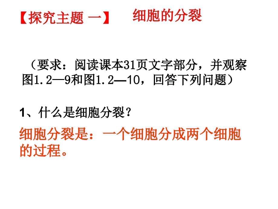 济南版第二节细胞的分裂和分化_第5页